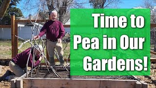Planting Spring Garden Beds Part 1 by Casual Gardening with Dustin 208 views 1 month ago 14 minutes, 48 seconds