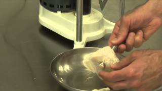 Shear Test