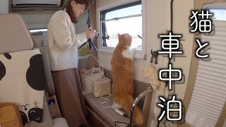 【車中泊】キャンピングカーで猫と道の駅でまったり