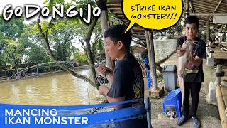 Monster Fish Fishing Godongijo - Strike Lele 6 KG - Just bring your body and start fishing