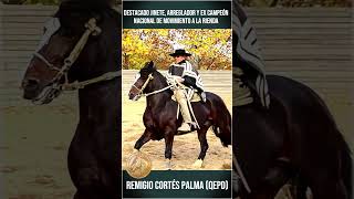 Play video: Remigio Cortés Palma #caballos #rienda #horse