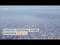 Медузы угрожают Азовскому морю