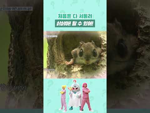 삵삵이의 첫 사냥 도전! 처음이라 서툰 건 당연해! ✨ #shorts