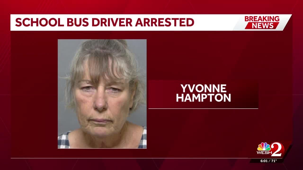 Driver of school bus clipped by train in Sumter County facing 29 counts ...
