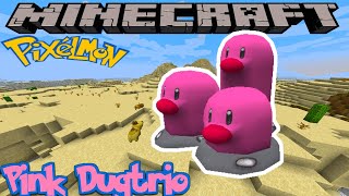 HOW TO FIND PINK DUGTRIO IN PIXELMON REFORGED - MINECRAFT GUIDE - VERSION 9.1.5 HOW TO FIND PINK DUGTRIO IN PIXELMON REFORGED - MINECRAFT GUIDE - VERSION 9.1.5