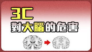 3C產品對大腦的危害 | Podcast EP276