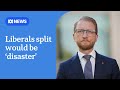 Senior Liberal cautions party against splitting | ABC NEWS