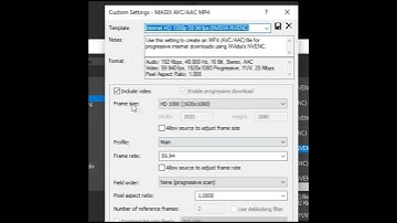 A Short About Rendering Shorts on PC in Vegas Pro 15 - The Settings I Use to Make #Shorts