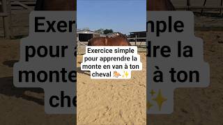 Exercice simple pour apprendre la monte en van à ton cheval 🐎 #cheval #chevaux #propriétairedecheval