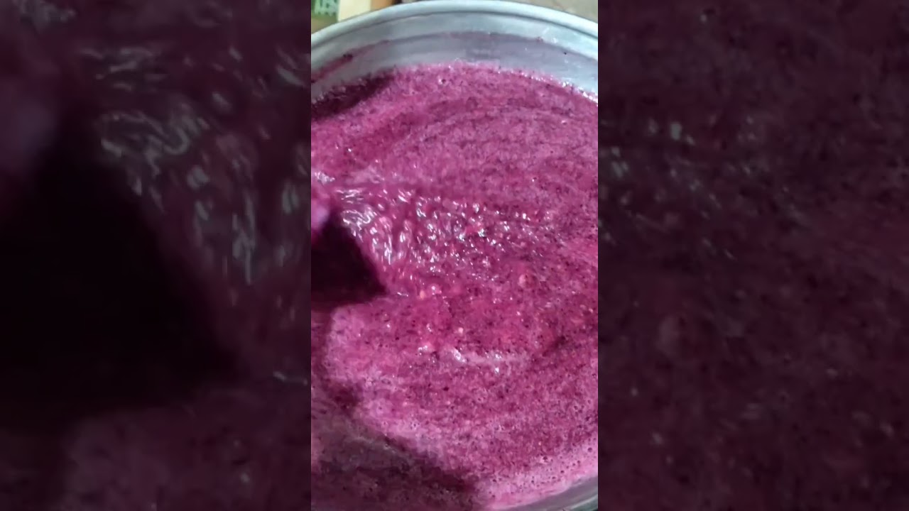 Falsa juice banane ki Recipe How To Make Falsa Juice 