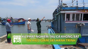 Xử phạt nghiêm tàu cá không bật tín hiệu giám sát hành trình | VTC16
