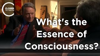 Henry Stapp  What's the Essence of Consciousness?