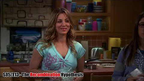 The Big Bang Theory - Best Leonard & Penny Moments