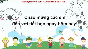 Giáo án powerpoint tuần 2: Hoạt động giáo dục theo CĐ| GA Hoạt động trải nghiệm 2 Chân trời sáng tạo