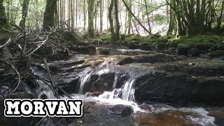 TRUITES à la cuillères dans le MORVAN - TRUITE DUNDEE