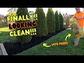 Shrub Removal Job Part 3 - Mulching