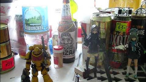 ВЛОГ-НА МИССИИ часть 1(Прибытие)