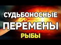 РЫБЫ. СМОТРЕТЬ ВСЕМ!!! СУДЬБОНОСНЫЕ ПЕРЕМЕНЫ НА ПОРОГЕ. ИЮЛЬ 2020. ПРОГНОЗ ТАРО ОНЛАЙН!