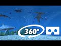 UNDERWATER SHARKS 360° VR - BUT YOU are the size of a Crab - TheBlu Virtual Reality Experience