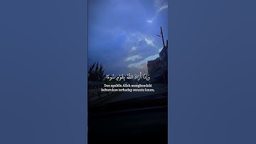 تلاوة عطرة لآيات من كتاب الله #القرآن_الكريم #القرآن #المصحف #اكسبلور #foryou #راحة_نفسية #viral #fy