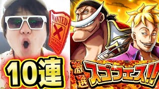 トレクル スゴフェス 白ひげ マルコ追加 10連 果たして結果は One Piece Kのトレクル実況 Optc Youtube