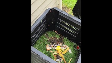 Top 5 Composting Methods | Mitre 10 Easy As Garden