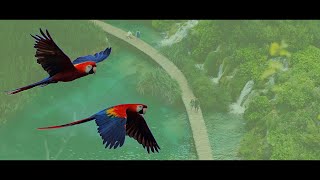 Music Across Borders documentary