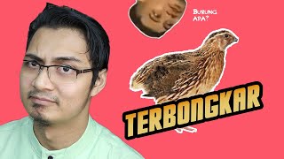 MLATS#6 | Rahsia Sebenar Burung Puyuh