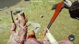 Casual Day in The Forest