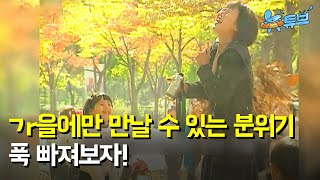 [34회 예고] 가을감성에 젖어들다~ (가을의 추억) ㅣ 뉴튜브 / YTN2