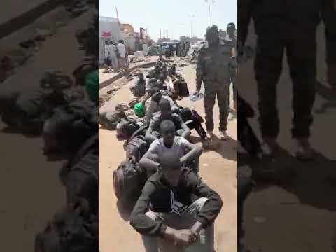 القبض على كمية من عناصر دعم السريع بكبري الحلفايا