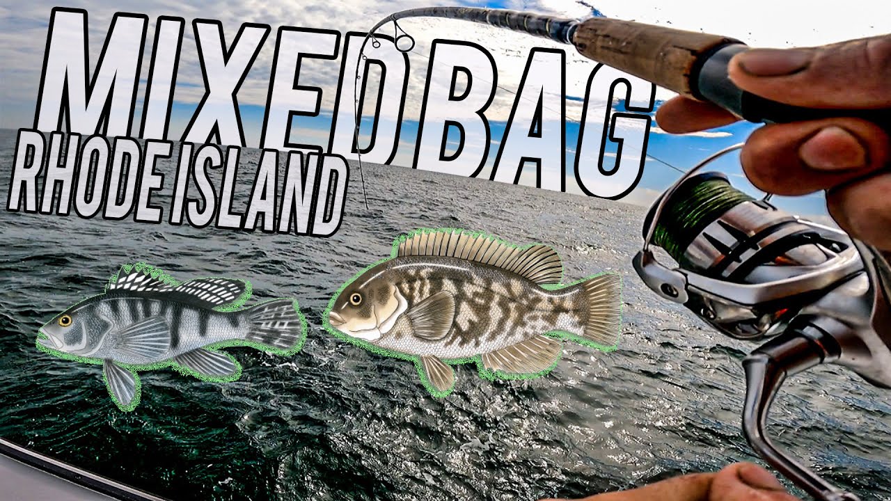 Open Boat Tautog and Sea Bass Fishing Rhode Island YouTube