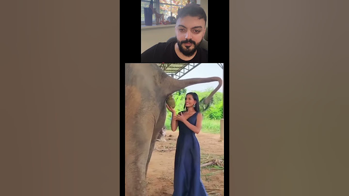 اغلى انواع القهوة في العالم تصنع من براز الفيل #العراق #دويتو #بغداد #اكسبلور #duet #stitch