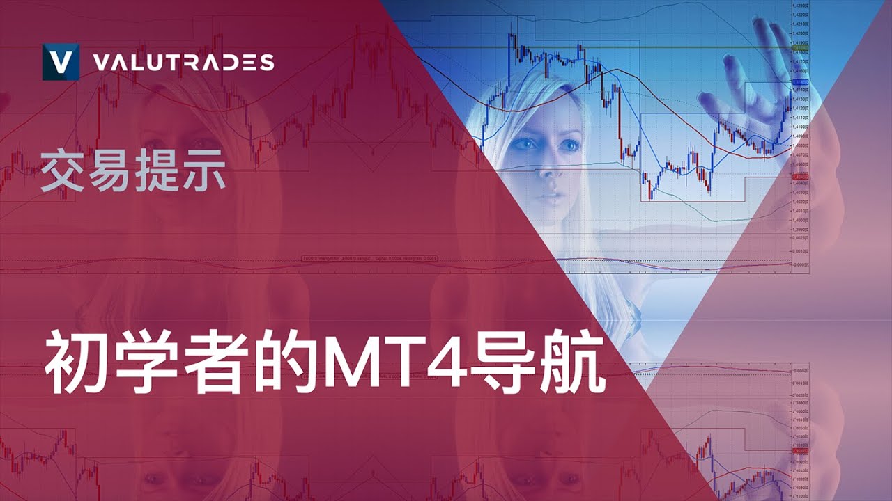交易指南: 初学者的MT4导航 - 图表、指标和图形