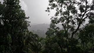 Heavy Rain Sounds In The Cold And Windy Mountains