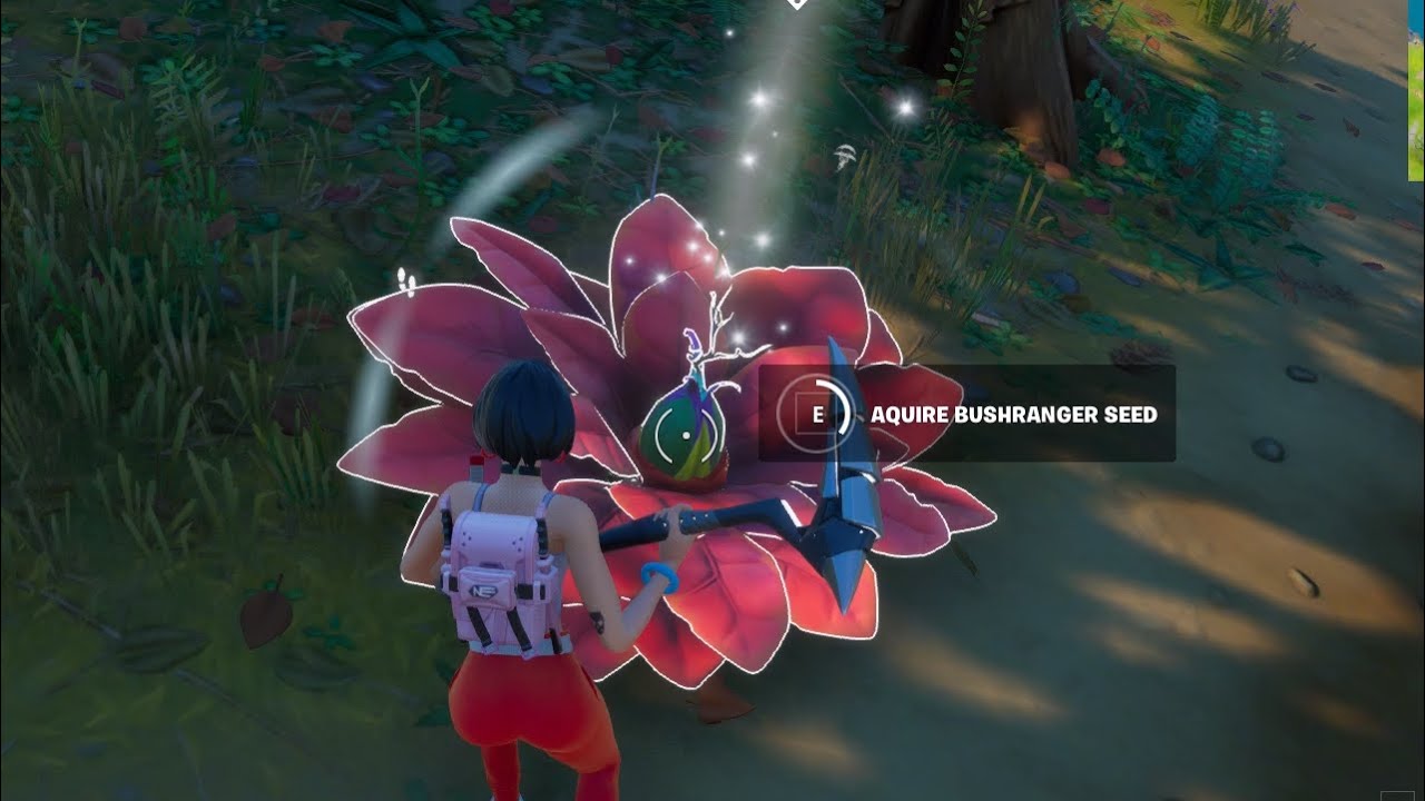 Acquire Bushranger seed from mysterious bloom - Vibin Bonus Goals ...