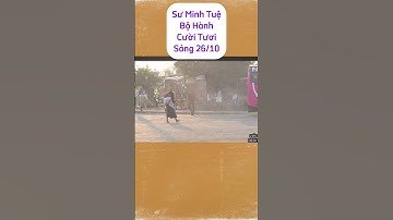 Sư Minh Tuệ Bộ Hành Sáng 26/10 #tindaydo #suminhtue