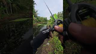 strike di spot baru #fishing #castingsnackhead