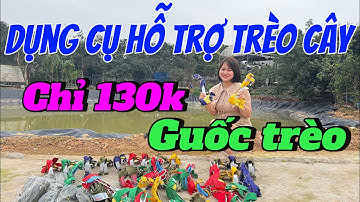 DỤNG CỤ TRÈO CÂY/ GUỐC LEO CÂY AN TOÀN GIÁ RẺ / DÂY ĐAI MÓC AN TOÀN MẪU MỚI NHẤT NĂM 2025