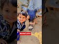 divya ❤️ krishna 🥰 subscribe me #cowlover #shortsfeed #shortsviral