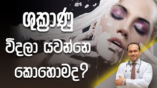 ශුක්‍රාණු විදලා යවන්නෙ කොහොමද? - Dr. Namal Wijesinghe