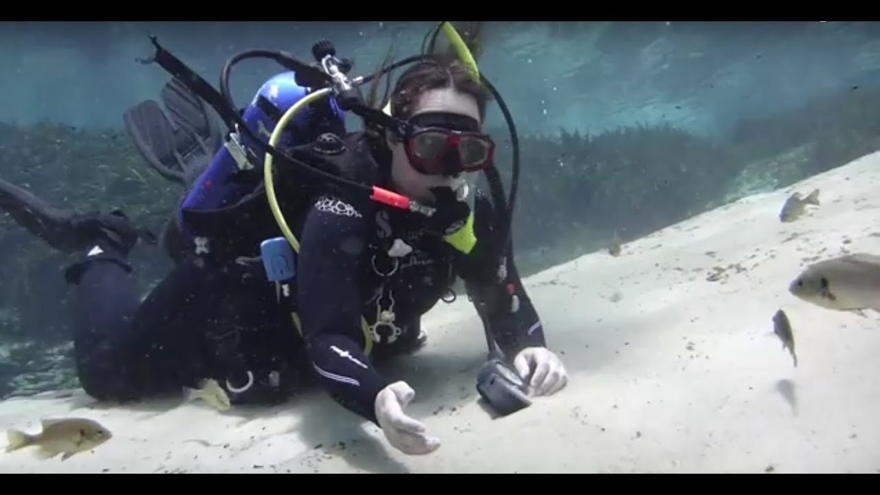 Where Does Fresh Water Come From? Scuba Diving in Freshwater Florida