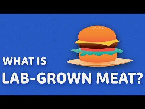 What Is Lab-Grown Meat