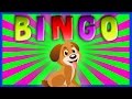 Bingo  song for kids  bingo nursery rhyme