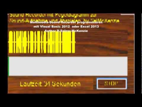 Visual Basic 2012 Excel 2013 Multimedia Sound Recorder programmieren von Selzer-McKenzie SelMcKenzie