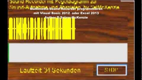 Visual Basic 2012 Excel 2013 Multimedia Sound Recorder programmieren von Selzer-McKenzie SelMcKenzie
