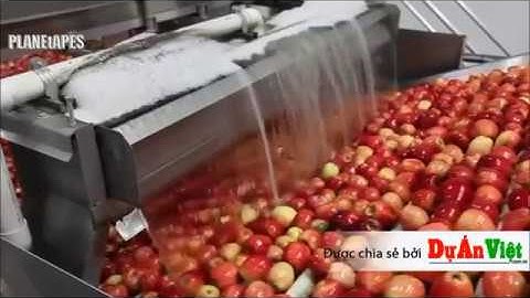 [CTY Dự Án Việt] Lập dự án - Dây chuyền rửa rau củ quả tự động