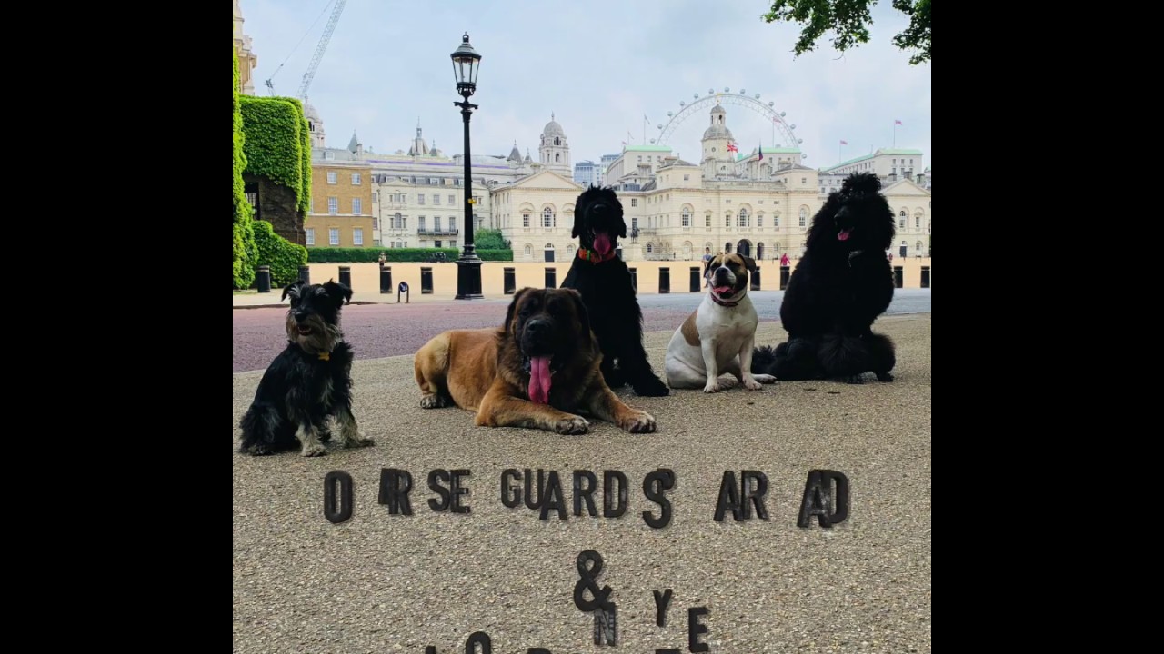 off the road training - YouTube