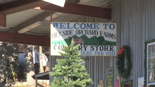 Family Farm and Market in Rabun County Becomes Agritourism Destination