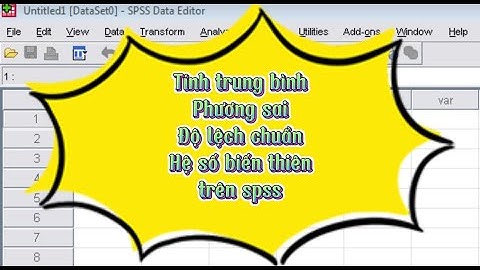 Tính trung bình và độ lệch chuẩn trong spss năm 2024